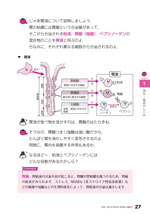 胃の細胞