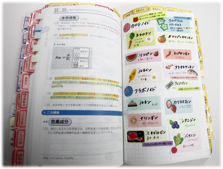 特集】マイレビューブックをつくろう！ | めざせ！管理栄養士！